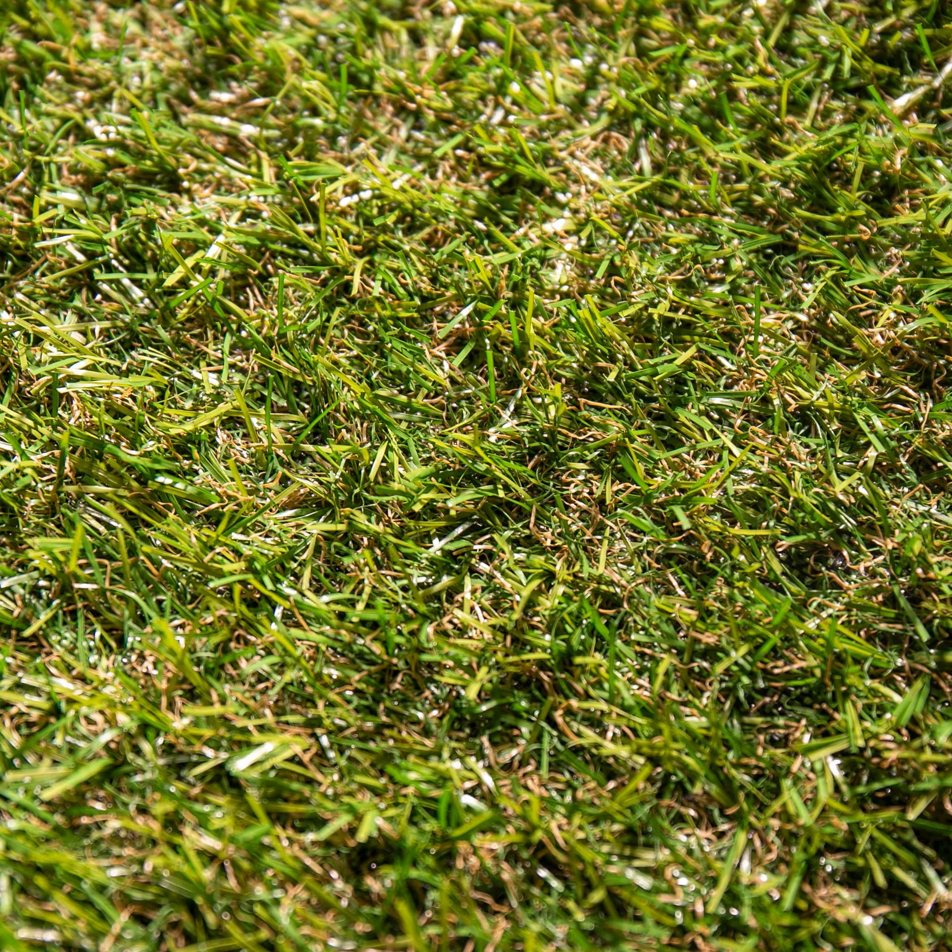 Event 20 · detalle