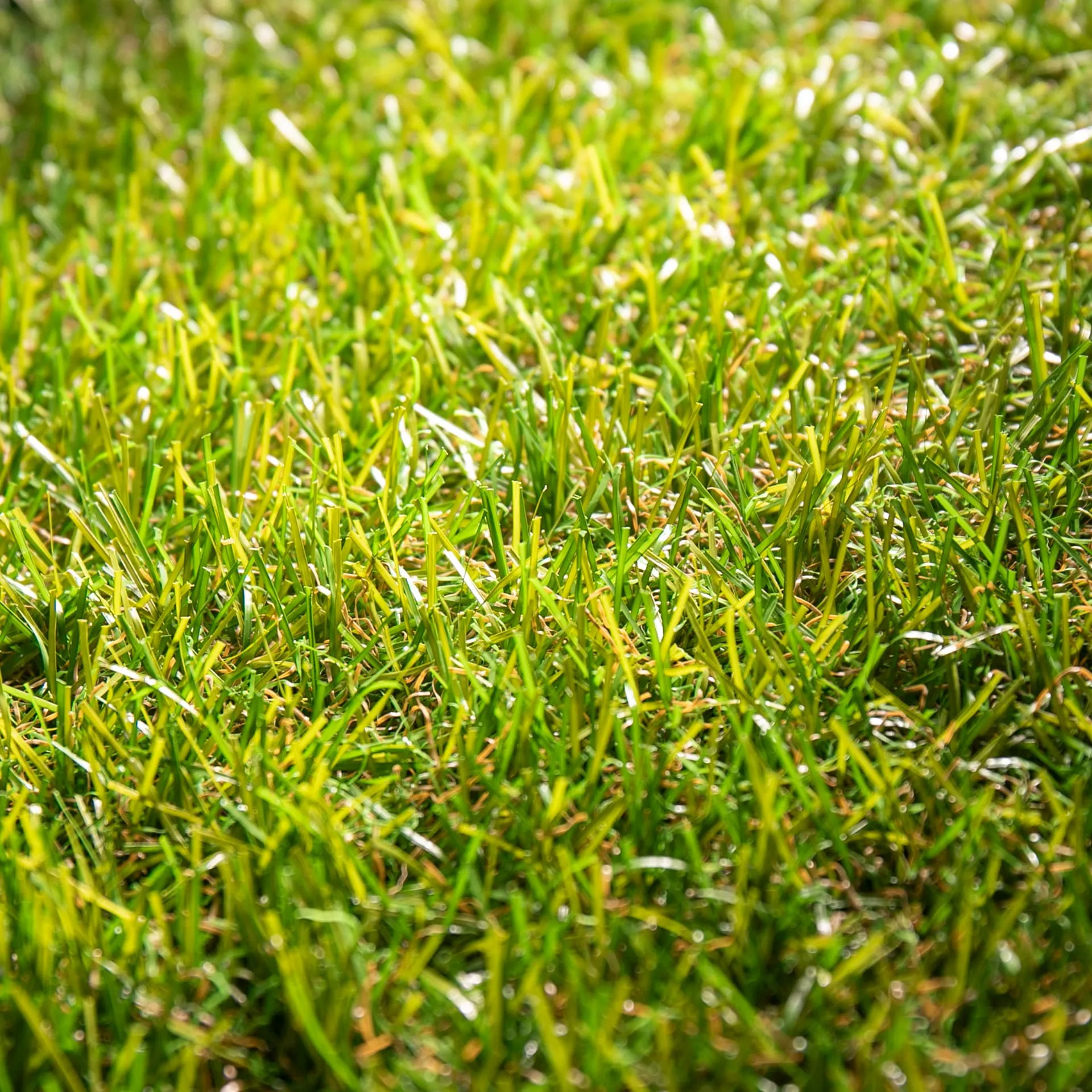 Event 25 · detalle