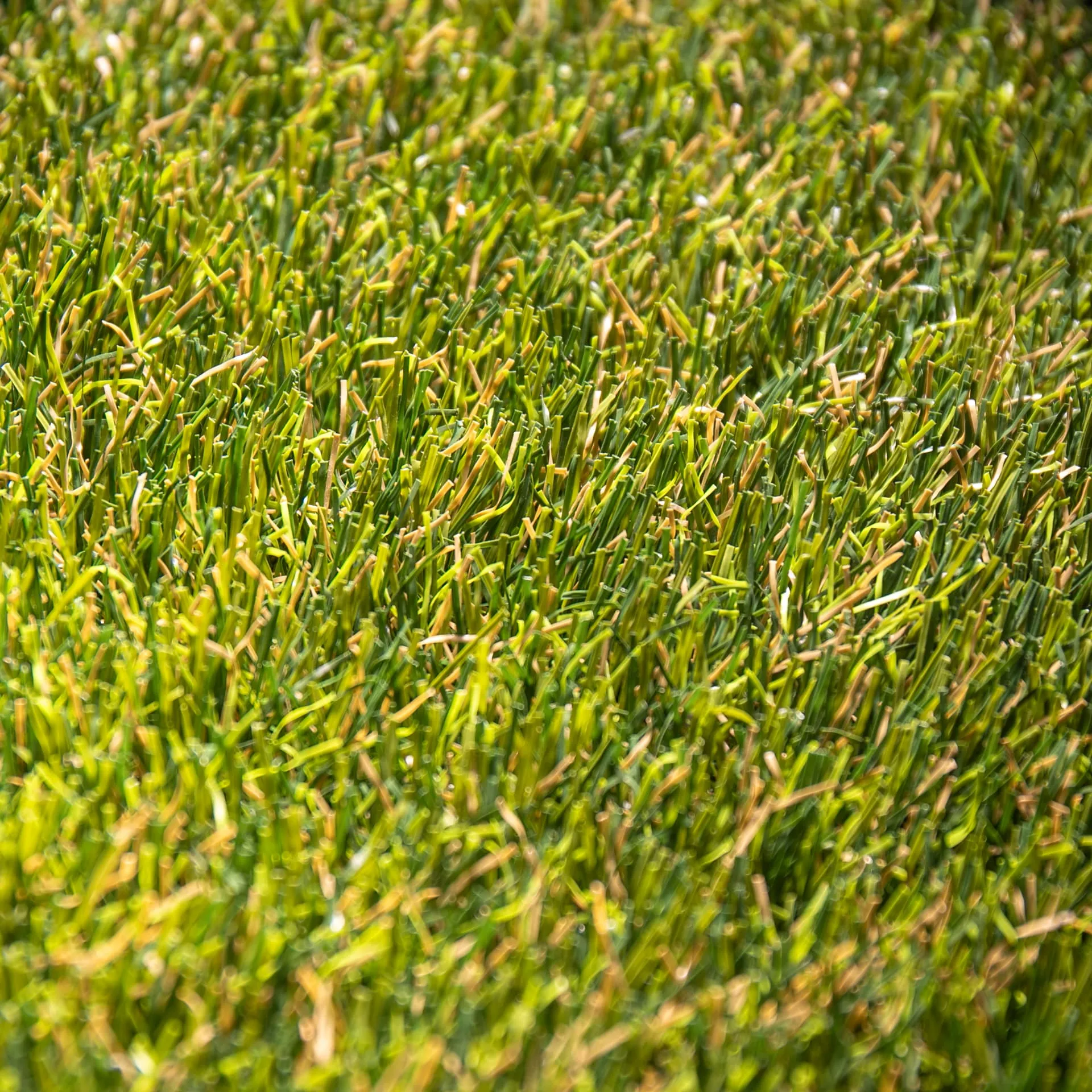 Multi Imperial 45 · detalle