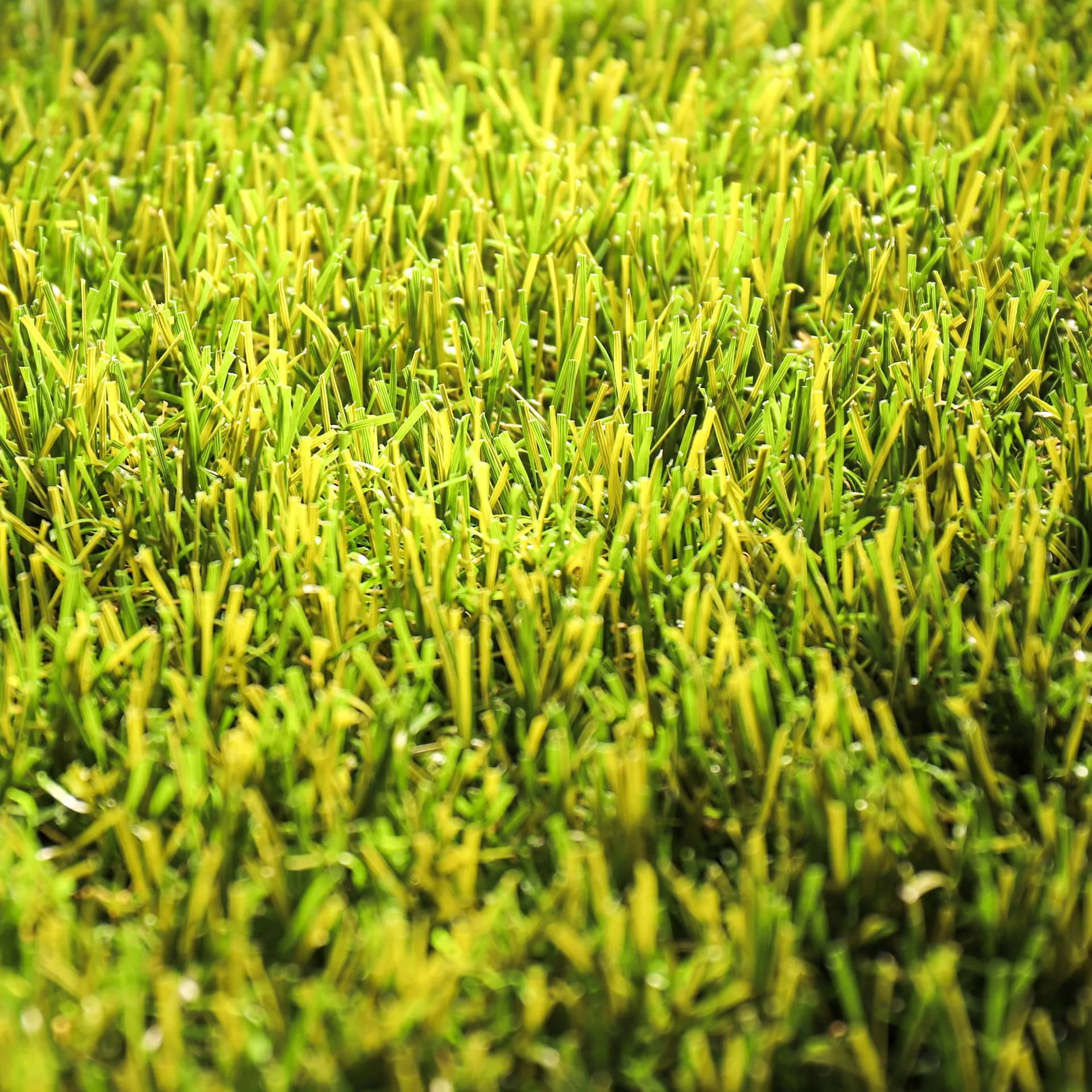 Multi Imperial 50 · detalle