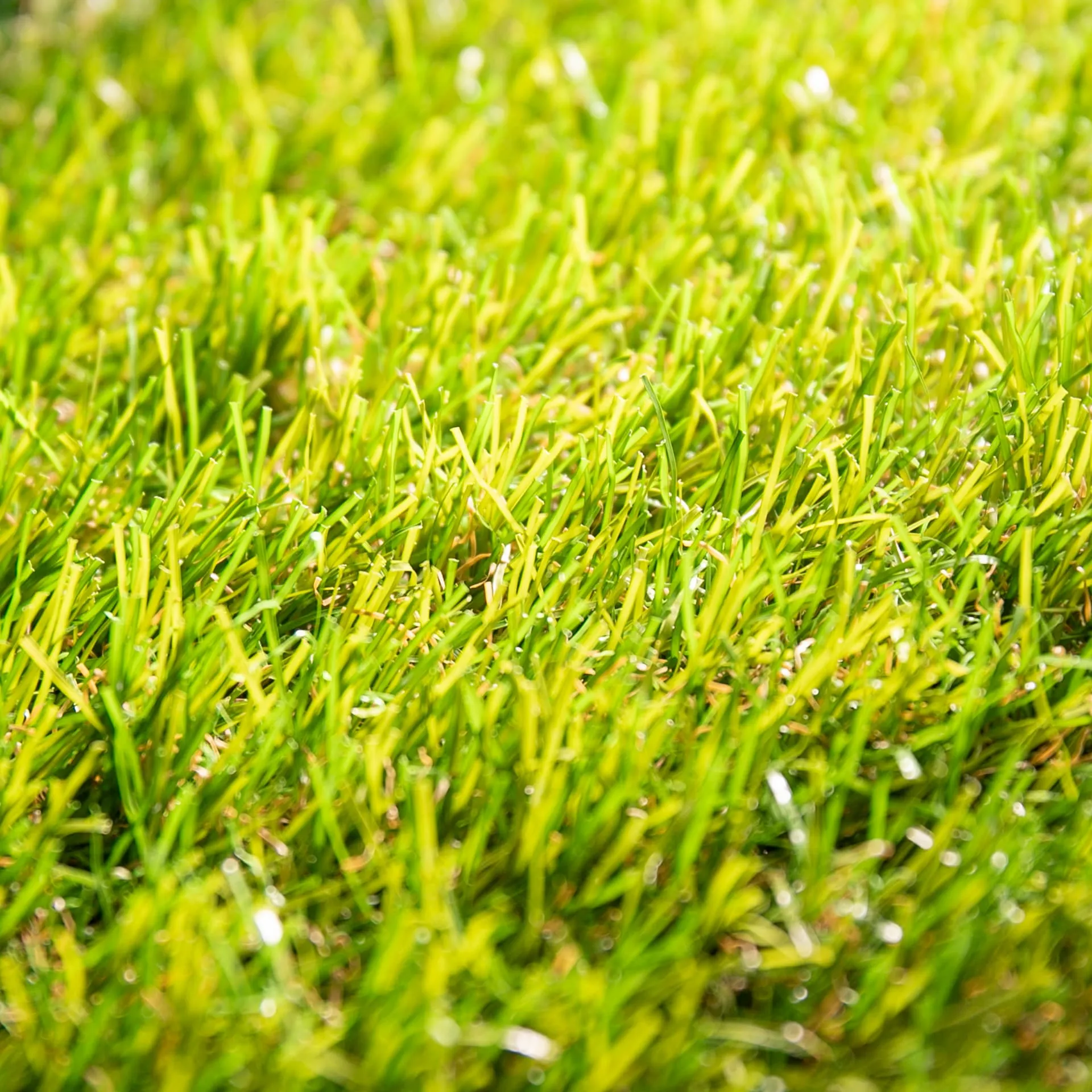 Nature 35 · detalle