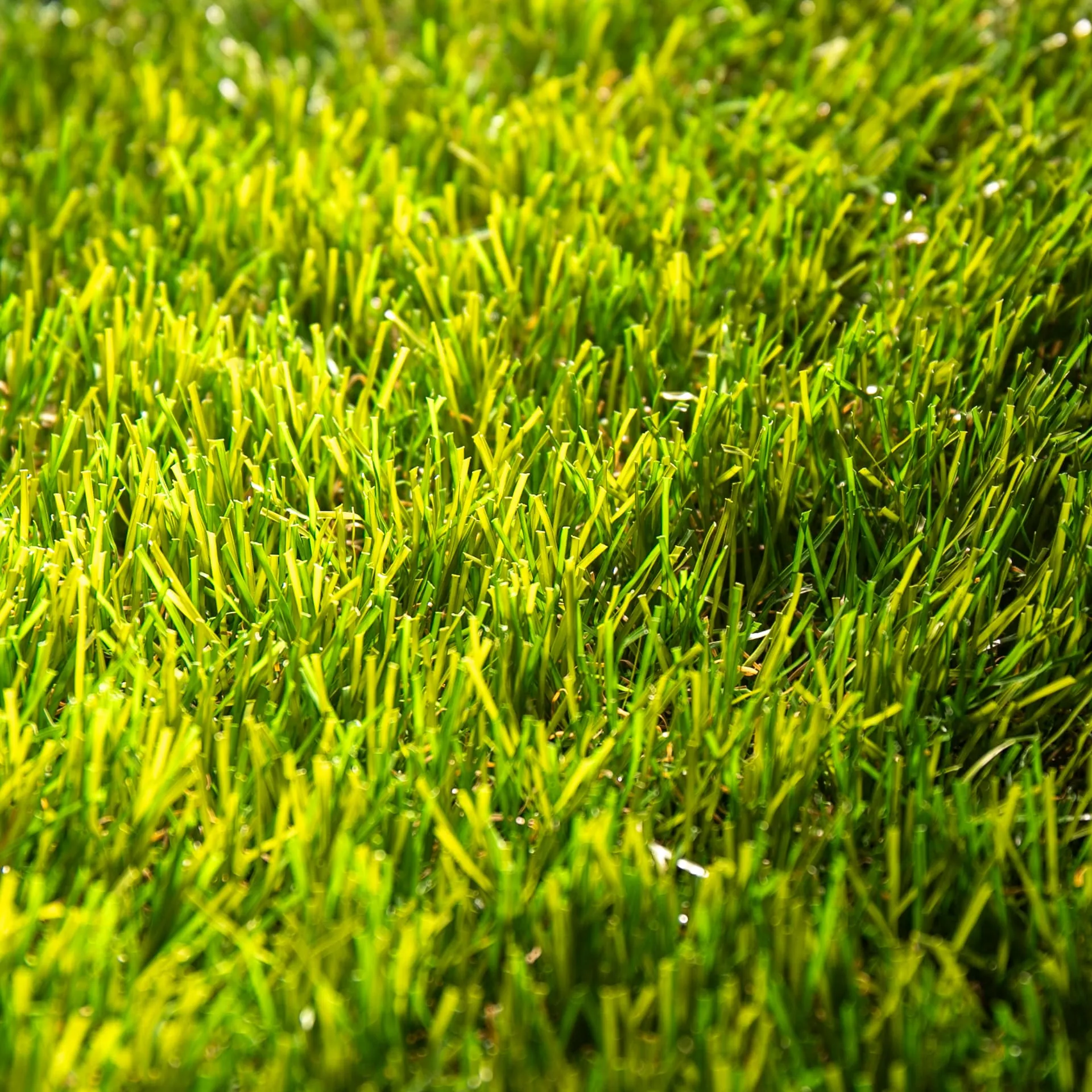Nature 40 · detalle