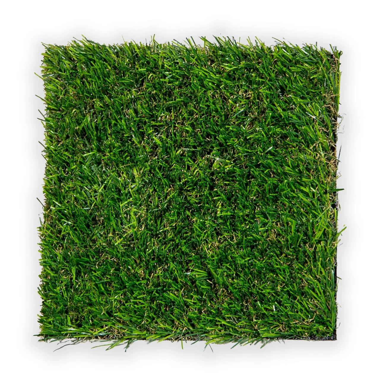 Pradera 30 · imagen principal