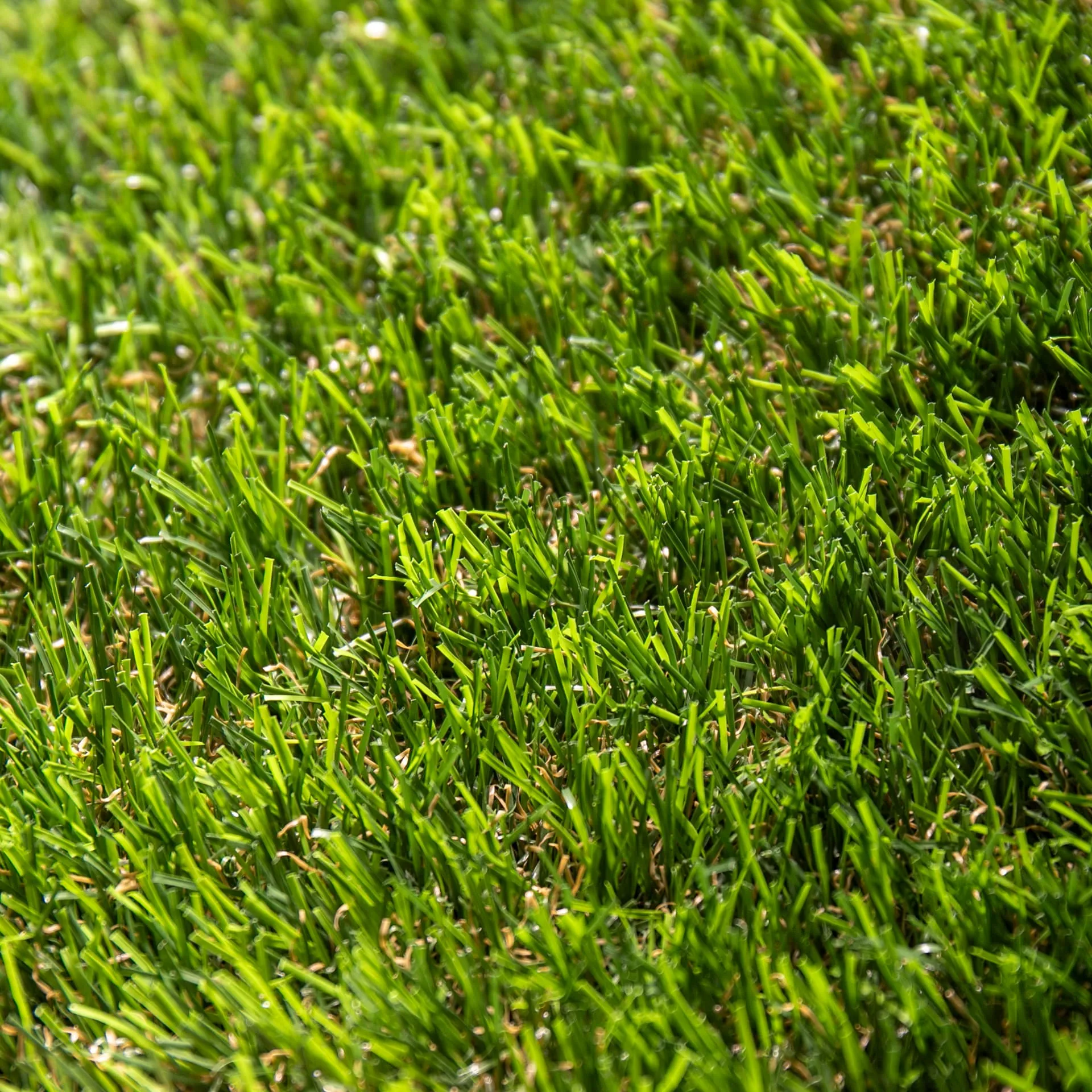 Pradera 30 · detalle