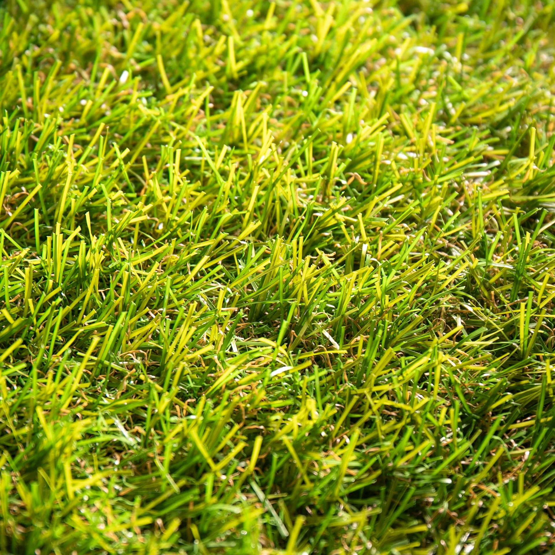 Pradera 35 · detalle